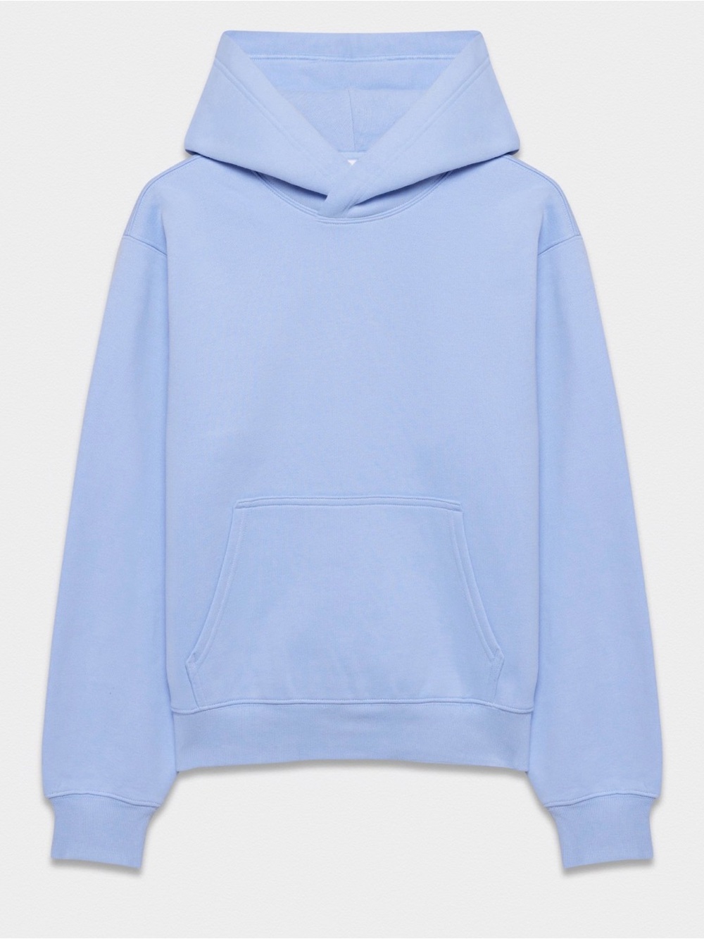 Aritzia Dayflower Blue Perfect Hoodie